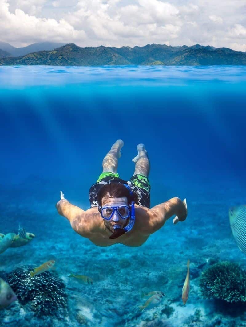 Andromedaproject - Snorkel