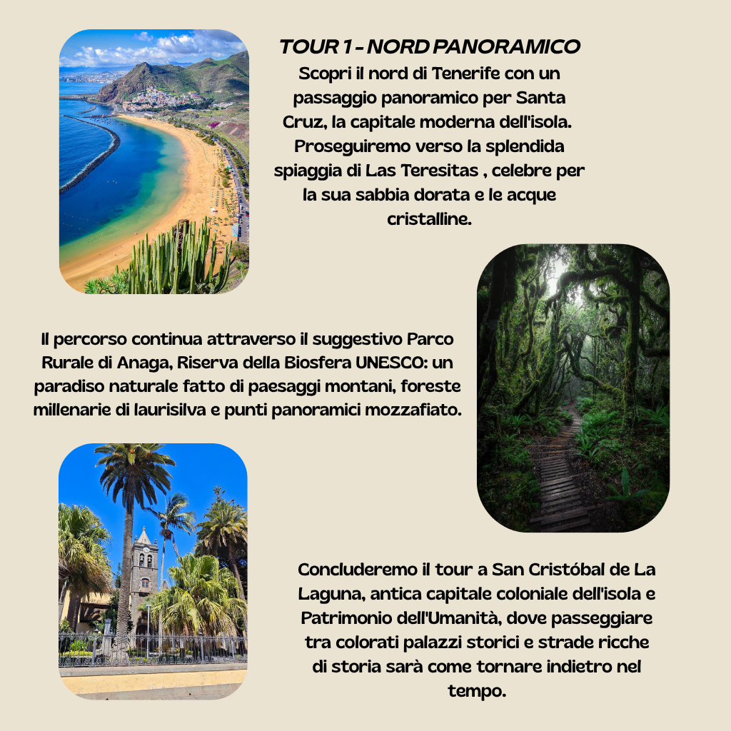 Andromedaproject Tour privado 3